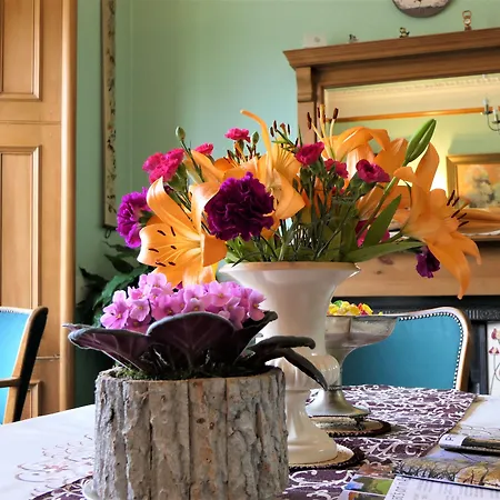 Buttonboss Lodge B&B-2
